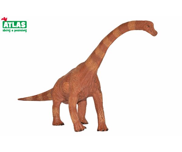 G - Figurka Dino Brachiosaurus 30 cm