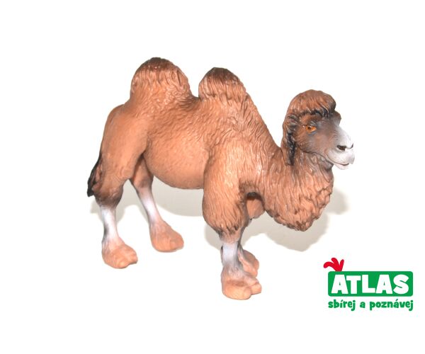 C - Figurka Velbloud 11 cm
