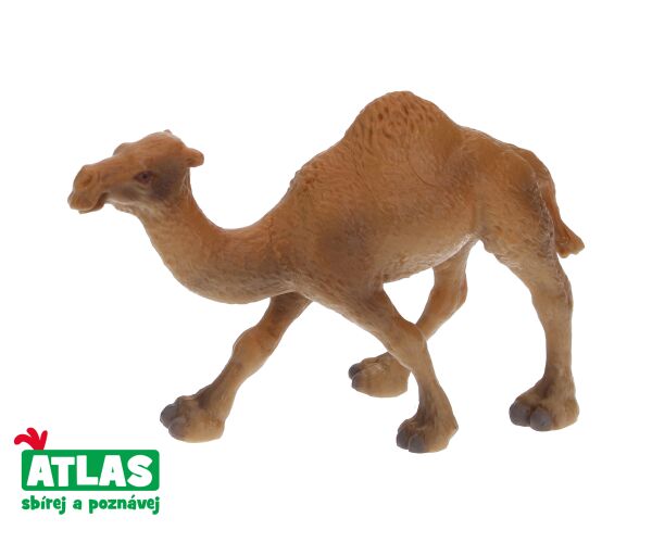 B - Figurka Velbloud jednohrbý 11 cm
