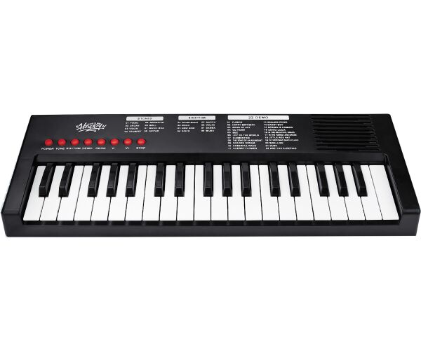 Klávesy s mikrofonem 40 cm