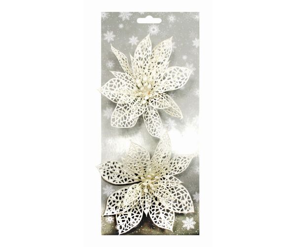 Poinsettie bílá 14 cm, 2 ks na klipu