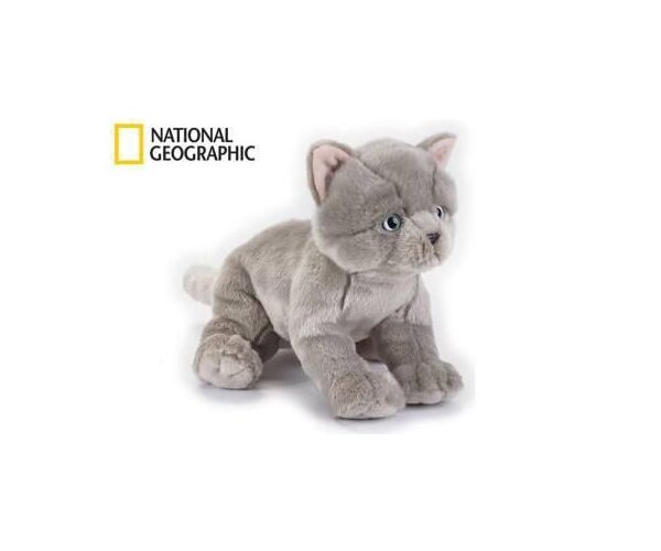 National Geographic Kids Britská kočka 33 cm