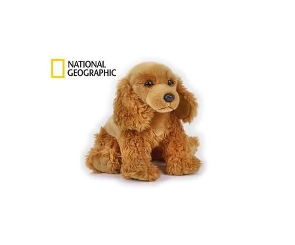 National Geographic Kids Kokeršpaněl pes 33 cm