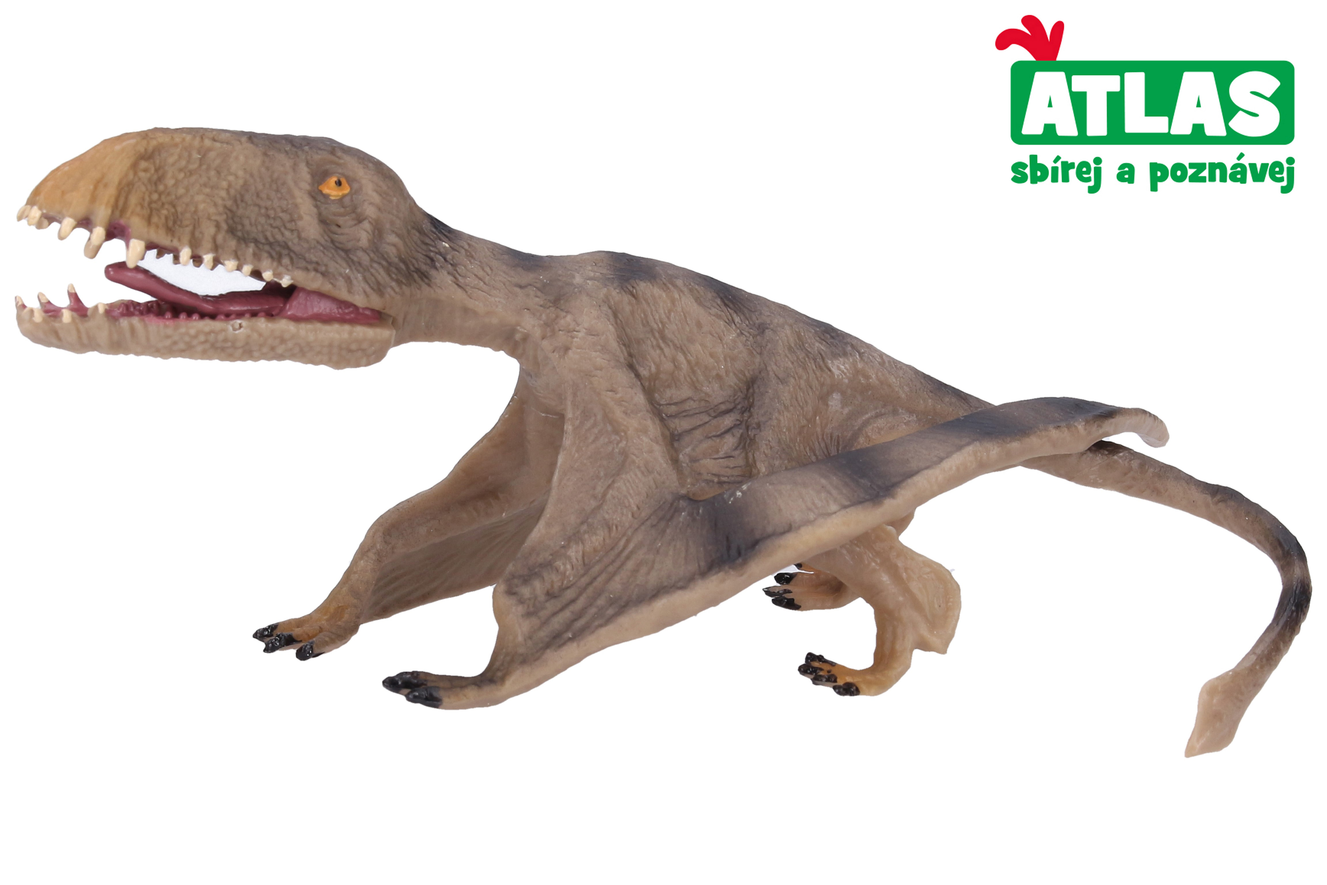 Levně B - Figurka Pterosaurus 17,2 cm