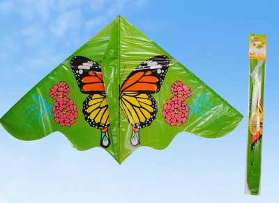 Levně Létající drak motýl 60 x 116 cm - český obal