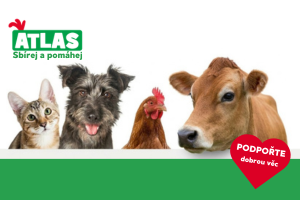 Každá figurka může zachránit život!